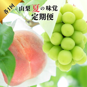 yӂ邳Ɣ[Łzy2026Ns\zwRĂ̖oցxJsY{̓ƃVC}XJbge1 ӂ邳Ɣ[ VC}XJbg lC Ԃǂ uhE  {   Js 