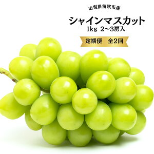 yӂ邳Ɣ[Łzy2026Ns\z 2 ӂ邳Ɣ[ VC}XJbg  VC }XJbg lC Yi lC Ԃǂ uhE  { Js Y lC Ԍ 
