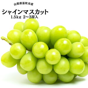 yӂ邳Ɣ[Łz25Ny2026Ns\z̈YnIJsYVC}XJbg1.5kg ӂ邳Ɣ[ VC}XJbg Js Y lC Ԍ Ԃǂ uhE  