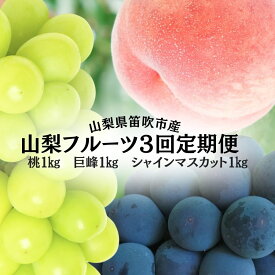 【ふるさと納税】＜25年発送＞【2026年発送★先行予約】山梨のフルーツ定期便 全3回　桃 巨峰 シャインマスカット ふるさと納税 フルーツ 定期便 桃 巨峰 種なし巨峰 シャインマスカット 山梨県 笛吹市 送料無料 167-140