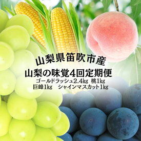 【ふるさと納税】山梨の味覚定期便　全4回　ゴールドラッシュ　桃　巨峰　シャインマスカット ふるさと納税 フルーツ 定期便 とうもろこし ゴールドラッシュ 桃 巨峰 種なし巨峰 シャインマスカット 山梨県 笛吹市 送料無料 167-141