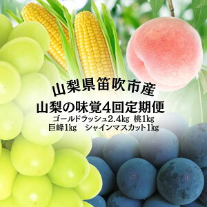 yӂ邳Ɣ[ŁzR̖oց@S4@S[hbV@@@VC}XJbg ӂ邳Ɣ[ t[c  Ƃ낱 S[hbV   Ȃ VC