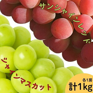 yӂ邳Ɣ[Łzy2026Ns\zTVCbhEVC}XJbg2[Zbg@1kgȏ ӂ邳Ɣ[ Js Y lC Ԍ Ԃǂ uhE  { ʕ t[c R