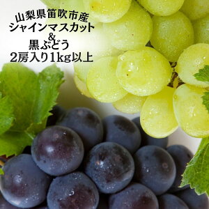 yӂ邳Ɣ[Łz25Ns\񁄓JsY{̕2[2FZbg 1kgȏ ӂ邳Ɣ[ VC}XJbg Js Y lC Ԍ Ԃǂ uhE  { ʕ t[c R 