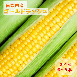 yӂ邳Ɣ[Łzy2026Ns\zJsYƂ낱uS[hbVv2.4kg ӂ邳Ɣ[ S[hbV gERV R[  Ă  R Js  
