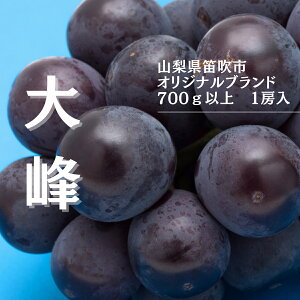 yӂ邳Ɣ[Łzy2026Ns\zwʌxIWiuh700g`800g1[ ӂ邳Ɣ[  Js Y lC Ԍ Ԃǂ uhE  { ʕ t[c R 