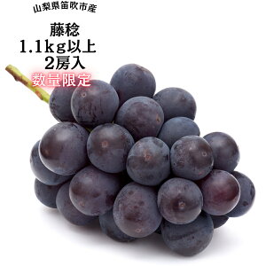 yӂ邳Ɣ[Łzy2026Ns\zwʌxYnJs⒬̓1.1kg2[ ӂ邳Ɣ[  Js Y lC Ԍ Ԃǂ uhE  { ʕ t[c R 