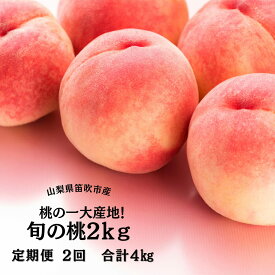 【ふるさと納税】【2026年発送★先行予約】笛吹市産旬の桃満喫コース2kg×2回発送 ふるさと納税 人気 おすすめ ランキング もも 桃 笛吹市 国産 定期便 期間限定 果物 フルーツ 旬 山梨県 送料無料 167-009