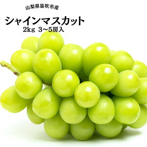 yӂ邳Ɣ[Łz25Ns\񁄕̈YnIJsYVC}XJbg2kg ӂ邳Ɣ[ VC}XJbg Js Y lC Ԍ Ԃǂ uhE  { ʕ t[c 
