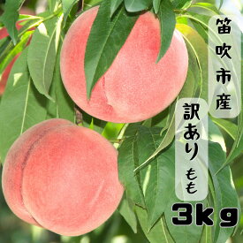 【ふるさと納税】【2026年発送★先行予約】笛吹市産 訳あり桃 約3kg 167-026 ※訳あり品のため注意事項をご確認ください