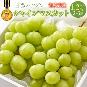 yӂ邳Ɣ[Łz2024NÂQvv@VC}XJbg@2`3[@1.2kgȏ ӂ邳Ɣ[ VC}XJbg Js Y lC Ԍ Ԃǂ uhE  { ʕ t[