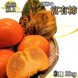 yӂ邳Ɣ[Łz2025Ns\񁄊Ê`̉l@L̕xL` 2kg 3LTCY 5`6 ӂ邳Ɣ[ lC  LO ` xL` Js Y lC Ԍ Ê` ʕ t[c { 