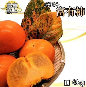 【ふるさと納税】<2025年先行予約>甘柿の王様 広瀬の富有柿 4kg Lサイズ 約14〜18玉 ふるさと納税 人気 おすすめ ランキング 柿 富有柿 笛吹市 国産 人気 期間限定 甘柿 果物 フルーツ 旬 お