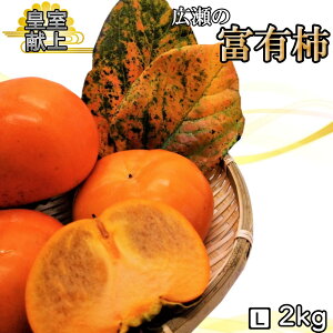 yӂ邳Ɣ[Łz2025Ns\񁄊Ê`̉l@L̕xL` 2kg LTCY 7`9 ӂ邳Ɣ[ lC  LO ` xL` Js Y lC Ԍ Ê` ʕ t[c { 