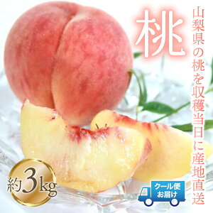 yӂ邳Ɣ[Łzy2026Ns\z@3kg@Љ؉hY ӂ邳Ɣ[ lC  LO   Y lC Ԍ ʕ t[c { R Js  179-005