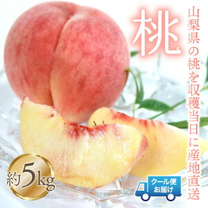 yӂ邳Ɣ[Łzy2026Ns\z@5kg@Љ؉hY ӂ邳Ɣ[ lC  LO   Y lC Ԍ ʕ t[c { R Js  179-006