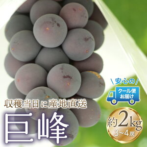 yӂ邳Ɣ[Łz2025Ns\񁄃N[֔@ 2kg (3`4[) ӂ邳Ɣ[ lC  LO  Y lC Ԍ Ԃǂ uhE  { ʕ t[c R Js 