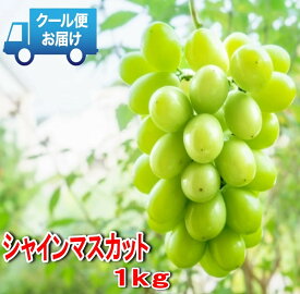 【ふるさと納税】【2026年発送★先行予約】安心のクール便発送　収穫当日に産地直送　シャインマスカット 1kg (2房) ふるさと納税 人気 おすすめ ランキング シャインマスカット 国産 人気 期間限定 ぶどう ブドウ 葡萄 旬 果物 フルーツ 山梨県 笛吹市 送料無料 179-001