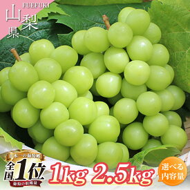 【ふるさと納税】【2026年発送★先行予約】 選べる 内容量 シャインマスカット 1kg以上 2.5kg以上 2～6房 大容量 たっぷり 葡萄 ぶどう (沖縄・離島配送不可)期間限定 人気 贈答 ギフト 中元 お盆 旬 果物 山梨県 笛吹市 高評価 送料無料 フルーツ 先行 予約　180-002/003