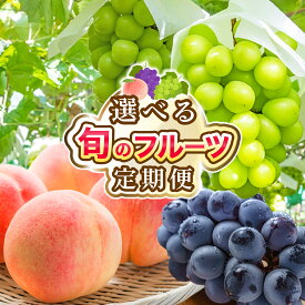 【ふるさと納税】【2026年発送★先行予約】定期便 フルーツ 先行予約 山梨 シャインマスカット 桃 黒葡萄 高評価 お試し ふるさと納税 ランキング 果物 山梨県 笛吹市 人気 冷蔵 定期 もも ぶどう 葡萄