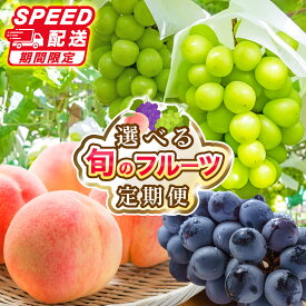 【ふるさと納税】★スピード配送★フルーツ 定期便 フルーツ定期便 笛吹市産 桃 もも ピーチ シャインマスカット ぶどう 巨峰 ブドウ 葡萄 果物 山梨県 笛吹市 旬のフルーツ 高評価 人気 厳選 詰め合わせ 選べる2回 3回 ランキング 1位 送料無料 2026年発送 先行予約