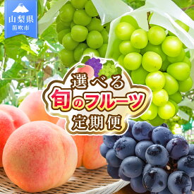【ふるさと納税】【2027年発送★先行予約】フルーツ 定期便 笛吹市産 桃 もも ピーチ シャインマスカット ぶどう 巨峰 ブドウ 葡萄 果物 山梨県 笛吹市 旬のフルーツ 高評価 人気 厳選 詰め合わせ 選べる2回 3回 ランキング 1位 送料無料 【10月より寄附金額改定予定】