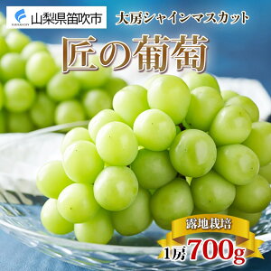 yӂ邳Ɣ[Łzy2026Ns\zInRY VC}XJbg 1[700gx ӂ邳Ɣ[ VC}XJbg Js Y lC Ԍ Ԃǂ uhE  { ʕ t[