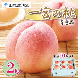 yӂ邳Ɣ[Łzy2026Ns\z Gi 2kgO x10ȏてN[֔z ӂ邳Ɣ[   Js Y lC Ԍ ʕ t[c Mtg 蕨 v[g i { 
