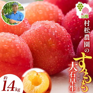 yӂ邳Ɣ[Łzy2026Ns\z Α 6pbN 1.4kg X v t[c ʕ Yn { ʎ Î_ς u₩ ʏ` W[V[  VN lC  