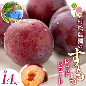yӂ邳Ɣ[Łzy2026Ns\z bhr[g 6pbN 1.4kg | X v t[c ʕ Yn { ʎ Î_ς u₩ ʏ` W[V[  _ 