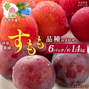 yӂ邳Ɣ[Łzy2026Ns\z i킨܂ 6pbN 1.4kg Α bhr[g X v t[c ʕ Yn { ʎ Î_ς u₩ ʏ` W[V[ 