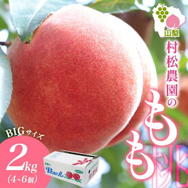 【ふるさと納税】【2026年発送★先行予約】山梨県 笛吹市産 桃 2kg ふるさと納税 桃 もも モモ 白桃 2kg 4〜6玉 旬 産地直送 国産 新鮮 果物 人気 美味しい 贈答 ギフト 贈り物 お中元 プレゼント 山梨県 笛吹市 177-5-001