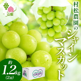 【ふるさと納税】【2026年発送★先行予約】シャインマスカット 約1.2kg ふるさと納税 シャインマスカット 笛吹市 国産 人気 期間限定 ぶどう ブドウ 葡萄 旬 果物 フルーツ ギフト 贈り物 プレゼント 山梨県 177-5-002