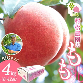 【ふるさと納税】【2026年発送★先行予約】山梨県 笛吹市産 桃 4kg 8〜12玉 もも モモ 白桃 旬 産地直送 大玉 完熟 果物 フルーツ 新鮮 人気 美味しい 贈答 ギフト お中元 村松農園 送料無料 笛吹市 177-5-004
