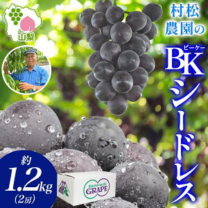 yӂ邳Ɣ[Łz25Ns\񁄎R JsY BKV[hX 1.2kg 2[ Ԃǂ uhE  { Yn Ȃ n ʕ t[c VN lC   Mtg  _ 