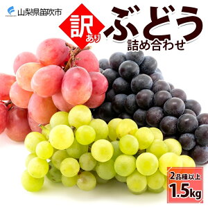 yӂ邳Ɣ[Łzy2026Ns\zy[z󂠂 Ԃǂ lߍ킹 2iȏ v1.5kg ӂ邳Ɣ[  lߍ킹 VC}XJbg Js Y lC Ԍ Ԃǂ uhE 