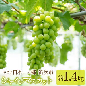 yӂ邳Ɣ[Łz@_ƒI΂VC}XJbg1.4kgI؂΂Ă݂낵 ӂ邳Ɣ[ VC}XJbg Js Y lC Ԍ Ԃǂ uhE  { ʕ