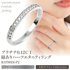 yӂ邳Ɣ[Łzv`i0.12CTn[tG^jeBO@R3790DI-P2 ӂ邳Ɣ[ ANZT[ WG[ _Ch v`i O w v[g  LO 킢 fB