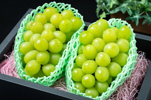 yӂ邳Ɣ[ŁzNX}XVC}XJbg2[@1.3kgȏӂ邳Ɣ[ VC}XJbg Js Y lC Ԍ Ԃǂ uhE  蕨 Mtg v[g NX}XVC