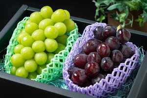 yӂ邳Ɣ[ŁzNX}XVC}XJbg2[(VC}XJbgAxm̋PZbg)1.3kgȏ @ӂ邳Ɣ[ Js Y lC Ԍ uhE  蕨 Mtg NX}X ʕ 