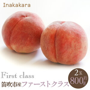 yӂ邳Ɣ[Łzy2026Ns\zJsY Inakakara {̓ t@[XgNX 2(800g) ӂ邳Ɣ[  LO   Js Y lC Ԍ ʕ t[c { 