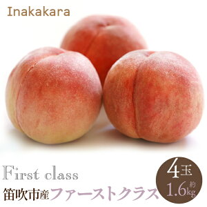 yӂ邳Ɣ[Łzy2026Ns\zyJsYzInakakara t@[XgNX 4(1.6kg) ӂ邳Ɣ[  LO   Js Y lC Ԍ ʕ t[c { R