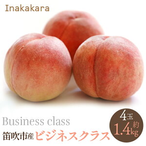 yӂ邳Ɣ[Łzy2026Ns\zyJsYzInakakara rWlXNX 4(1ʖ350g) ӂ邳Ɣ[  LO   Js Y lC Ԍ ʕ t[c { R