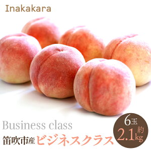 yӂ邳Ɣ[Łzy2026Ns\zyJsYzInakakara@rWlXNX6(1ʖ350g) ӂ邳Ɣ[  LO   Js Y lC Ԍ ʕ t[c { R