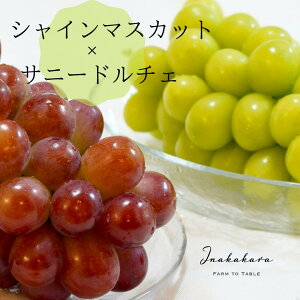 yӂ邳Ɣ[Łzy2026Ns\zInakakara {̃VC}XJbgƃTj[h`F̋lߍ킹 [i1.1~1.2kgj ӂ邳Ɣ[ VC}XJbg Tj[h`F 嗱 J