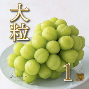 yӂ邳Ɣ[Łzy2026Ns\zInakakara {̑嗱&[VC}XJbg1[ (700gj ӂ邳Ɣ[  LO VC}XJbg 嗱 Js Y lC Ԍ 