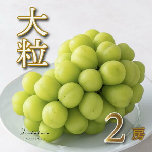 yӂ邳Ɣ[Łzy2026Ns\z Inakakara {̑嗱VC}XJbg2[ (1.4kgj ӂ邳Ɣ[  LO VC}XJbg 嗱 Js Y lC Ԍ Ԃ