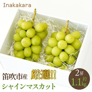 yӂ邳Ɣ[Łz y2026Ns\z InakakaraIIJsYVC}XJbg2[i1.0~1.1kgj ӂ邳Ɣ[  LO VC}XJbg Js Y lC Ԍ 