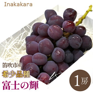 yӂ邳Ɣ[Łzy2026Ns\z@Inakakara 󏭕iuxm̋Pv1[(600~650g) 192-024-26y ӂ邳Ɣ[  LO Ԃǂ uhE  Js Y lC Ԍ ʕ t