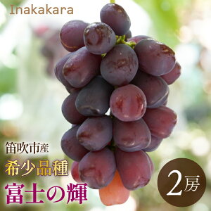 yӂ邳Ɣ[Łzy2026Ns\z@Inakakara 󏭕iuxm̋Pv2[(1.1kg~1.3kg) 192-024-26y ӂ邳Ɣ[  LO Ԃǂ uhE  Js Y lC Ԍ ʕ t